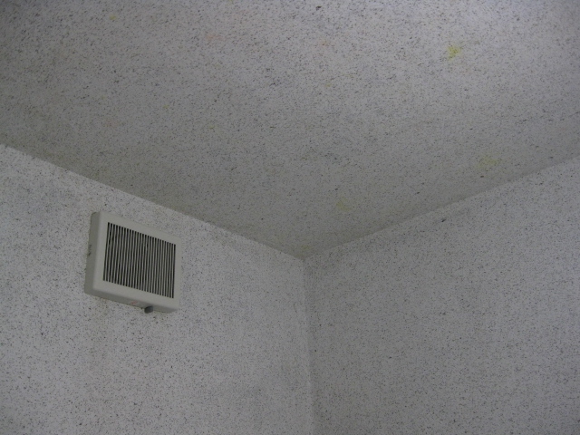 浴室の塗り壁調の天井のカビ抜き